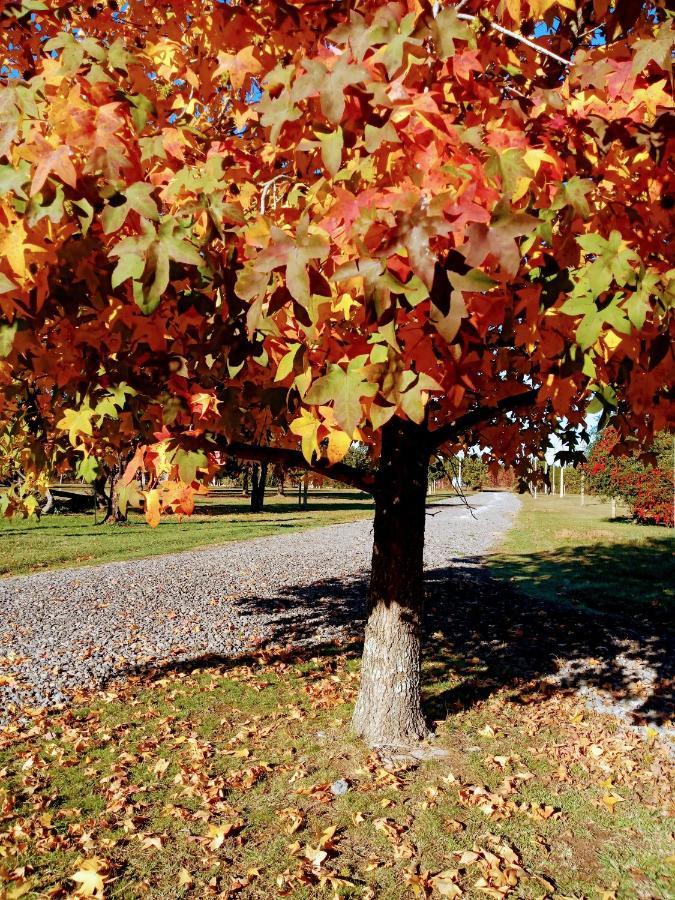 Casa De Campo Liquidambar San Pedro  Dış mekan fotoğraf